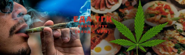 гидра Зеленодольск