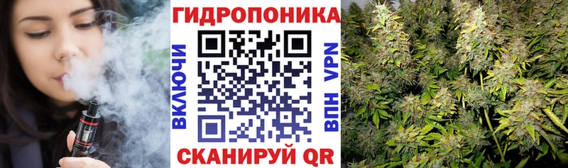 Шишки марихуана гибрид  Купить где  Бологое 